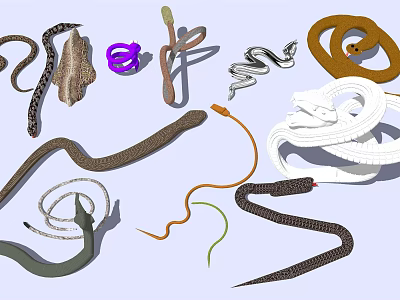 Modern snake venomous snake python cobra 3d model