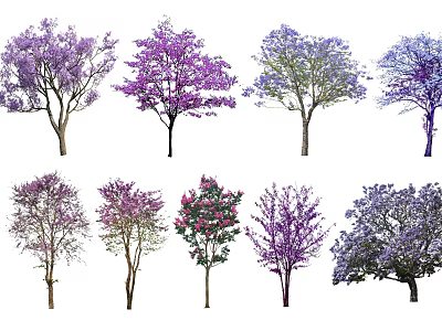 Diverse Arbor Trees Featuring Purple Pink And White Blossoms In Various Shapes 3d model