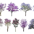 Diverse Arbor Trees Featuring Purple Pink And White Blossoms In Various Shapes