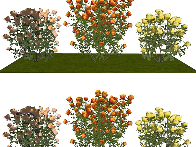 Colorful Garden Flowers With Orange Yellow Pink Blooms And Green Leaves 3d model