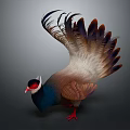 Colorful Pheasant Displaying Spread Vibrant Feathers Blue Neck White Crest Red Legs