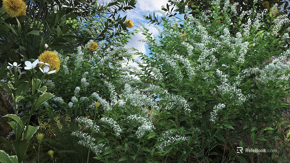 Lush Garden Shrub With White And Yellow Flowers And Green Leaves Under Blue Sky 3d model 