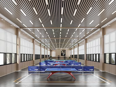 Spacious Indoor Sports Hall With Multiple Ping Pong Tables And Modern Lighting 3d model
