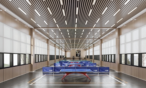 Modern Sports Hall Badminton Table Tennis Hall 3d model