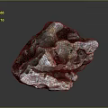 Natural Wood Stone Formation Featuring Rough Texture Irregular Shape And Pink Gray Hues