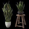 Potted Plants With Long Striped Leaves In Textured White And Black Pots On Wooden Stool