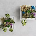 Natural Botanical Wall Decor With Succulents Green Leaves And Colorful Flowers