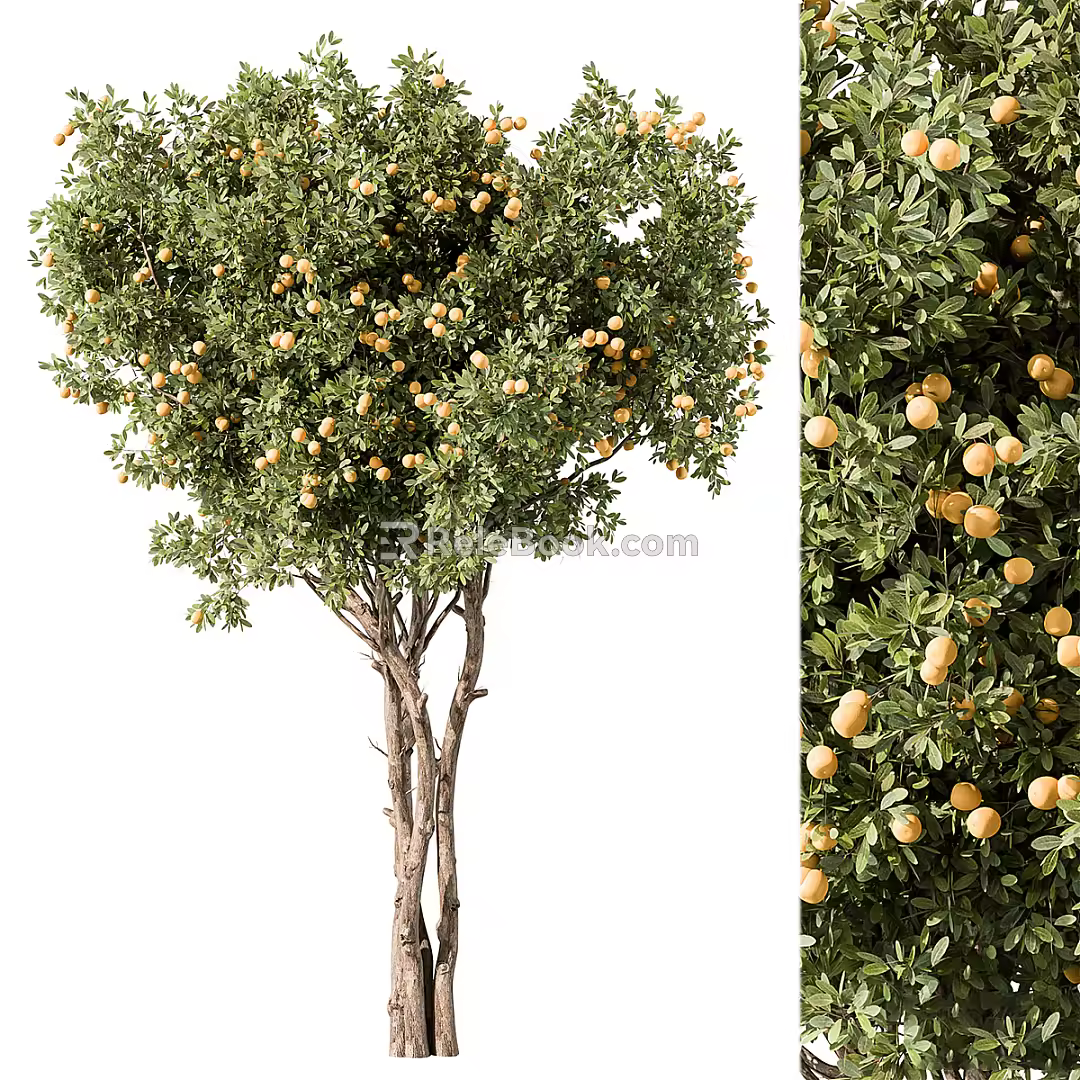 Modern Trees Landscape Trees Big Trees 3d model