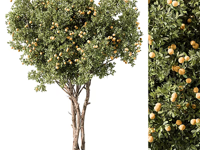Modern Trees Landscape Trees Big Trees 3d model