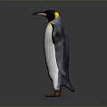 Adorable Penguin Standing With Black And White Feathers Yellow Neck On Gray Background