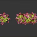Vibrant Pink Geranium Plants With Green Leaves In Small And Large Rectangular Terracotta Pots 3d model
