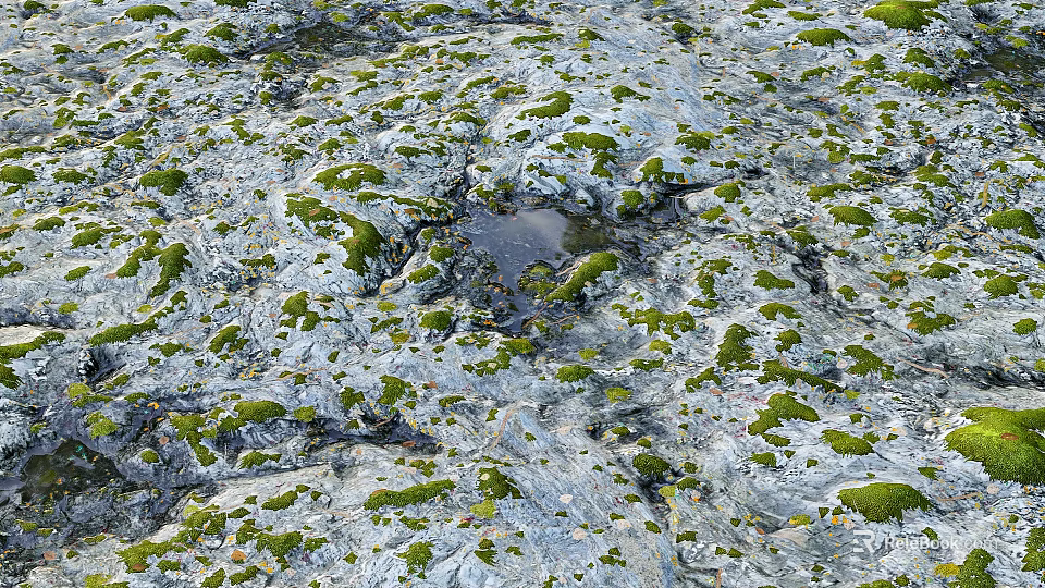 Weathered Rocky Terrain Covered With Green Moss And Small Puddle In Center 3d model 