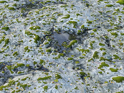 Weathered Rocky Terrain Covered With Green Moss And Small Puddle In Center 3d model