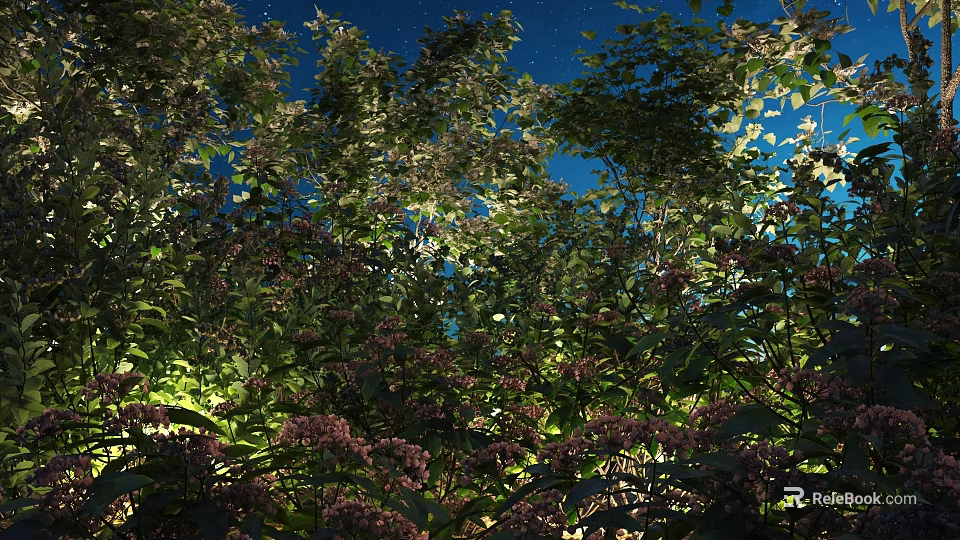 Lush Plants With Green Leaves And Purple Flowers Under Starry Night Sky 3d model 