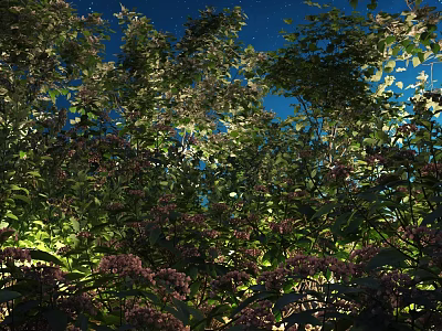 Lush Plants With Green Leaves And Purple Flowers Under Starry Night Sky 3d model