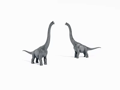 Two Gray Dinosaur Models With Long Necks Standing On White Background 3d model