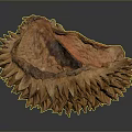 Ripe Brown Durian Fruit With Spiky Exterior And Fresh Tropical Appeal