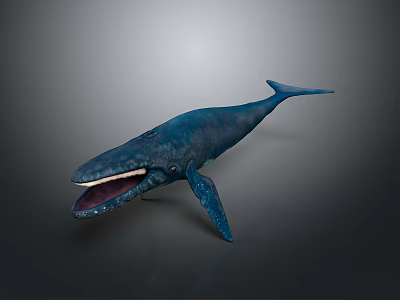 3D Rendered Blue Whale With Open Mouth And Blue Body In Gradient Background 3d model