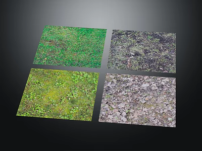 Various Plant Cover Samples With Green Yellow Green And Brown Foliage Textures 3d model