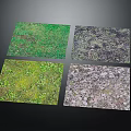 Various Plant Cover Samples With Green Yellow Green And Brown Foliage Textures