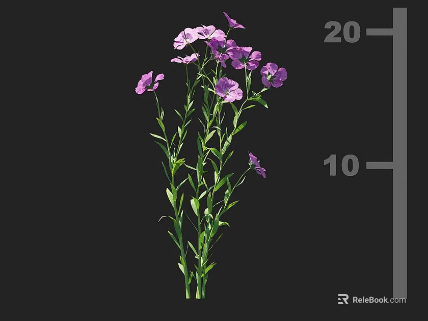 Crop Plant with Purple Flowers Green Stems Leaves Growing to Height 10 to 20 3d model 