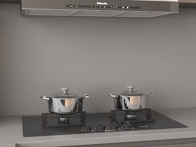 Kitchen Appliances With Gas Stove Stainless Steel Pots And Range Hood 3d model