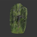 Detailed Garden Landscape With Lush Green Vegetation And Natural Terrain Structure