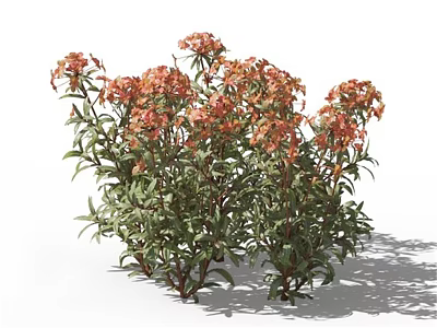 Orange Flowers and Green Leaves of Bushy Garden Plants in Natural Growth 3d model