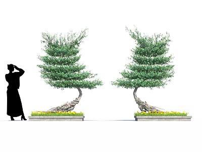 Decorative Trees with Curved Trunks Lush Green Leaves in Garden Landscape with Flower Beds 3d model