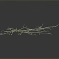 Delicate Plant Roots Structure With Thin Branches On Dark Background