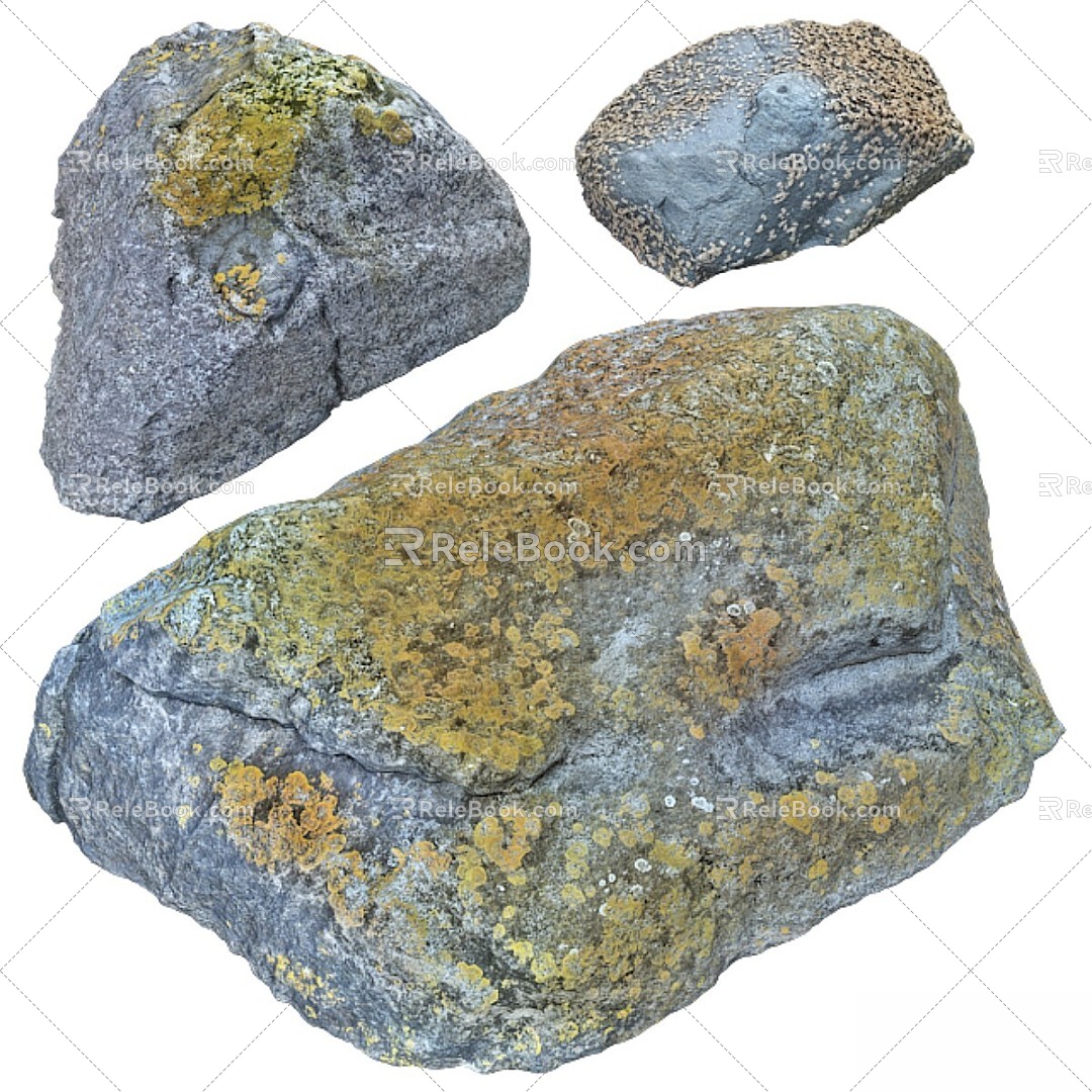 Gardening sketch rock beach photogrammetry stone 3d model