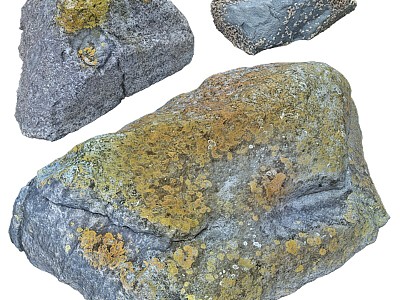 Gardening sketch rock beach photogrammetry stone model