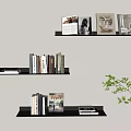 Stylish Black Wall Cabinets With Books Photos On Light Beige Wall And Green Plant