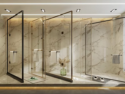 Modern Bathroom Interior With Glass Partition Marble Walls And Shower Area 3d model