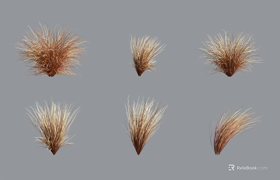 Six Clusters of Brown and Beige Grass with Different Forms on Gray Background 3d model 