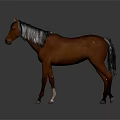 Brown Horse with Black Mane and Tail Standing on Gray Background with Ground Reflection 3d model