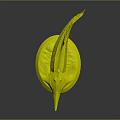 Detailed Fish Model with Long Snout Slender Body and Textured Surface on White Base
