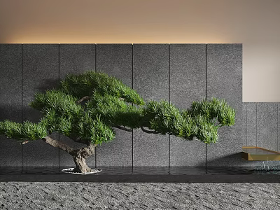 Pine Bonsai Tree in Modern Interior With Gray Wall Gravel Ground And Small Table 3d model