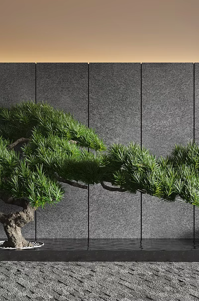 Pine Bonsai Tree in Modern Interior With Gray Wall Gravel Ground And Small Table 3d model