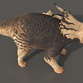 Realistic Triceratops Reptile Models Adult And Juvenile With Textured Skin