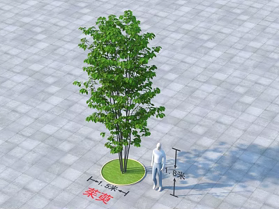Arbor with Green Circular Area in Gray Brick Pavement and Human Figure Near Rongjing 3d model