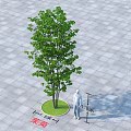 Arbor with Green Circular Area in Gray Brick Pavement and Human Figure Near Rongjing