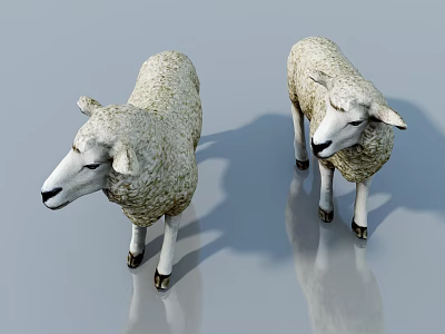 Two White Speckled Sheep Dolls Standing On Smooth Surface With Reflection 3d model
