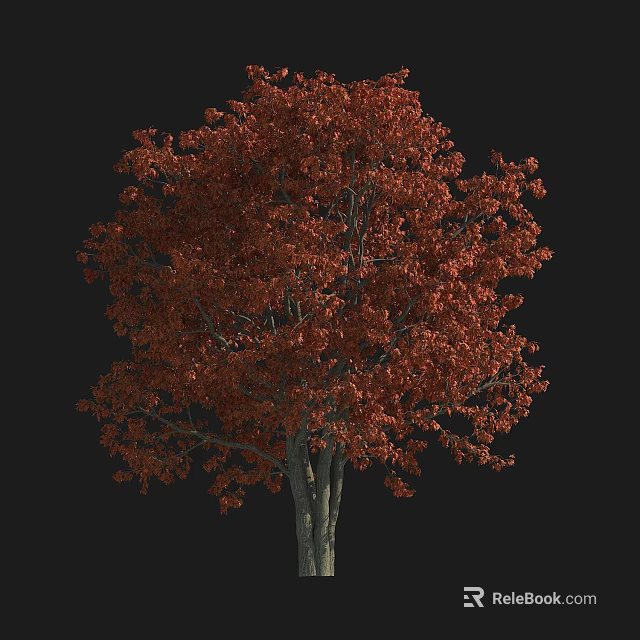Vibrant Red Leaf Arbor With Lush Foliage And Strong Sturdy Trunk Structure 3d model 