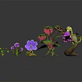 Various Colorful Plants Featuring Purple Flowers Green Leaves And Unique Shapes