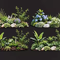 Diverse Garden Plant Combinations With Green Plants Flowers And Decorative Stones
