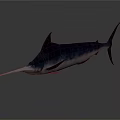 Swordfish With Silver Streamlined Body Long Bill And Dorsal Fin In Dark Background