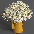 Yellow Kettle Vase With Fresh White Daisies On Gray Background