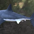 Great White Shark Eaters Human Shark Fish Animal Creatures 3d model