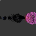 Diverse Deciduous Trees With Snow Covered Branches And Various Canopy Shapes